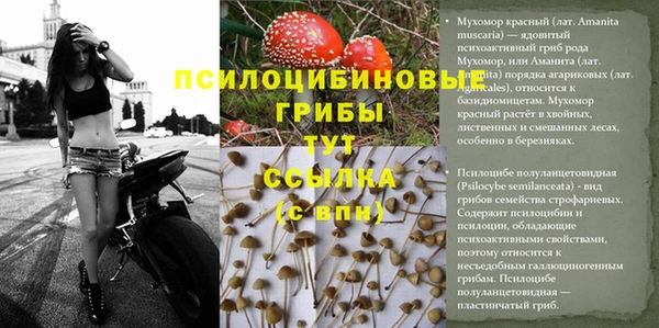 спиды Наволоки
