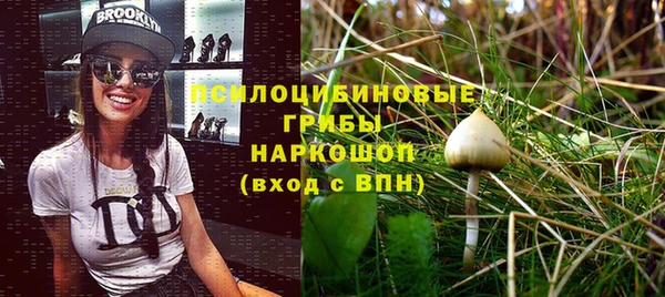 спиды Наволоки