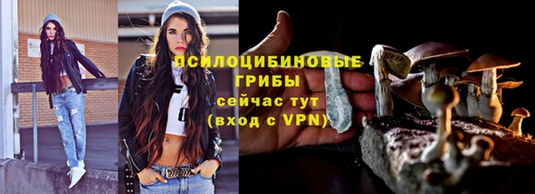 МДПВ Надым